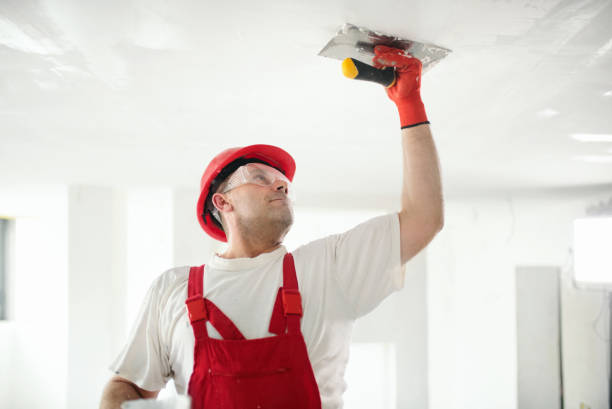 Best Interior Painting  in Springdale, OH