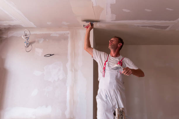 Best Drywall Removal and Disposal  in Springdale, OH